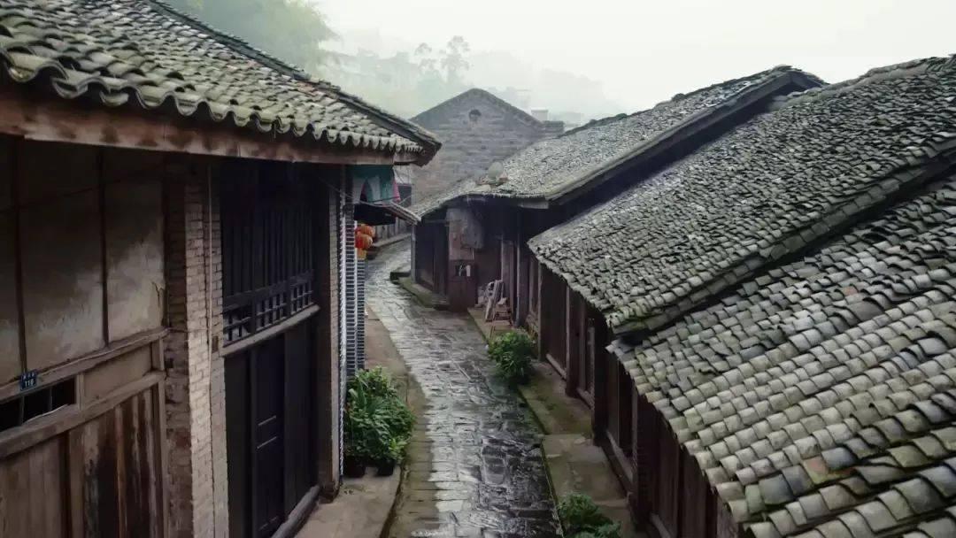欢歌庆盛世 携手迎新春